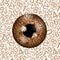 Brown realistic eyeball on a number background