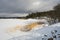 Brown reeds on the frozen lake during winter