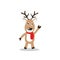 Brown reindeer with red scarf standing