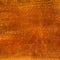 Brown reptile leather texture