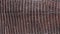 Brown reptile leather texture background.