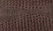Brown reptile natural leather texture. Snake, crocodile or dragon skin pattern