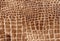 Brown reptile natural leather texture. Snake, crocodile or dragon skin pattern