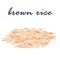 Brown rice healthy food high fiber illustration