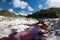 Brown river in white sands on Fraser Island