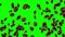 Brown roasted coffee beans falling and flying on black loop Animation green screen background.