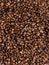 Brown roasted coffee beans, seed on dark background. Espresso dark, aroma, black caffeine drink. Closeup isolated energy mocha, ca
