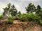 Brown rocky cliff with green trees on top