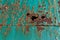 Brown rust and holes on a teal metal door