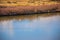 Brown`s Park National Wildlife Refuge View Waterfowl On Green River