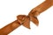 Brown satin ribbon