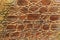 Brown scales macro exotic background, embossed under the skin of a reptile, crocodile. Texture genuine leather close-up