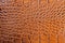 Brown scales macro exotic background, embossed under the skin of a reptile, crocodile. Texture genuine leather close-up