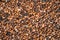 Brown sea pebbles natural background.
