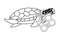 Brown sea turtle icon cartoon black and white