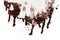 Brown sepia ink abstract dripping shape isolated