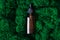 Brown serum or oil glass mock up bottle with pipette on green moss