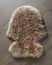 Brown sheepskin fur carpet on wooden background