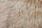 Brown sheepskin fur texture background