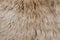 Brown sheepskin fur texture background