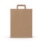 Brown Shopping Bag with Handles Isolated on White. 3D illustration