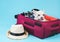 Brown  short hair  Chihuahua dog sitting in pink suitcase with travelling accessories, straw hat, camera and headphones, licking