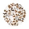 Brown simple horse theme icons set in circle eps10