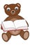 The brown sitting teddy bear reading a book