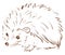 A brown sketch of an animal hedgehog vector or color illustration