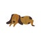 Brown sleeping dog, cute cartoon pet animal lying and taking a nap