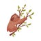 Brown sloth on a branch. Vector illustration on white background.