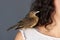 Brown small bird on woman shoulder