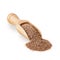 Brown smoked salt in a wooden scoop on white background