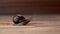 Brown snail gliding on wooden background.