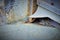 Brown snake crawling out a barn door during daytime