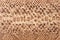 Brown snake pattern imitation, background