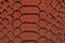 Brown snakeskin pattern texture background