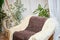 A brown sofa with beige capes in a living room with a flower and a window with curtains. Interior and Home decor