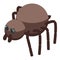 Brown spider icon, isometric style