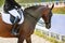 A brown sports horse with a bridle and a rider riding with his foot in a boot with a spur in a stirrup