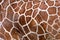 Brown spots on a giraffe skin