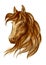 Brown stallion horse icon for equestrian design