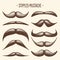 Brown stippled vintage mustache. Curly facial hair. Hipster beard. Stippling, dot drawing and shading, stipple pattern