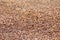 Brown stone grit scree, stone floor grit scree for background, floor surface rock materials scree texture, brown gravel stone