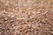 Brown stone grit scree, stone floor grit scree for background, floor surface rock materials scree texture, brown gravel stone