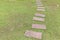 Brown stone path and fresh green gress or Brown stone slab on the fresh green lawn