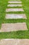 brown stone path and fresh green gress or Brown stone slab on the fresh green lawn