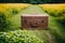 A brown suitcase sitting in a field of yellow flowers.