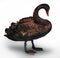 Brown Swan bird isolated