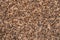 Brown synthetic short-napped floor carpet covering